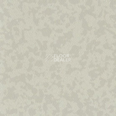 Линолеум Taralay Premium Osmoz 4365 Alpaga New фото 1 | FLOORDEALER